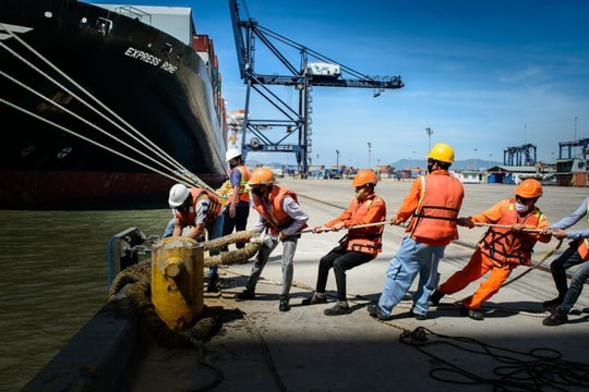 Hàng hải Đông Đô (DDM) bỏ ngỏ câu chuyện hồi phục?