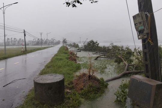 Bão số 5 đổ bộ gây gió mạnh, mưa lớn, Thủ tướng chỉ đạo tập trung ứng phó, bảo đảm an toàn tính mạng Nhân dân