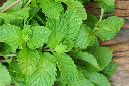 Ăn đều đặn 3 loại rau thơm này giúp tăng đề kháng, hỗ trợ tim mạch và bảo vệ sức khỏe