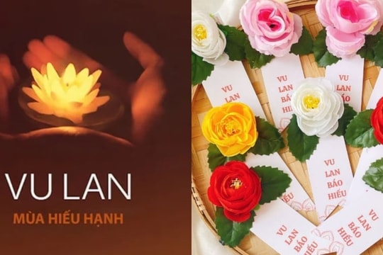 Vu Lan tháng 7 âm lịch: Hoa hồng đỏ, hồng, trắng, vàng cài lên ngực áo tượng trưng cho điều gì?