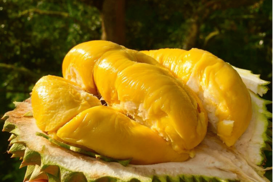 Giá sầu riêng hôm nay 29/8: Ổn định sau phiên tăng mạnh, Tây Nguyên cao nhất cả nước