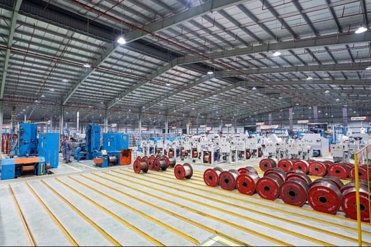 Các mảng kinh doanh của GELEX có thể đạt mức lợi nhuận kỷ lục mới