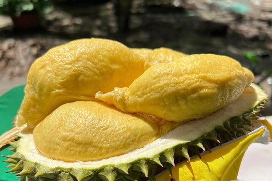 Giá sầu riêng hôm nay 31/8: Ri6 đi ngang, Thái VIP bất ngờ tăng giá kỷ lục