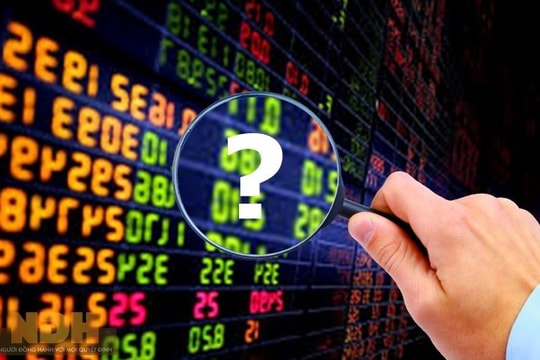 Theo dấu quỹ đầu tư: Cổ phiếu nhà Đất Xanh (DXG) là tâm điểm