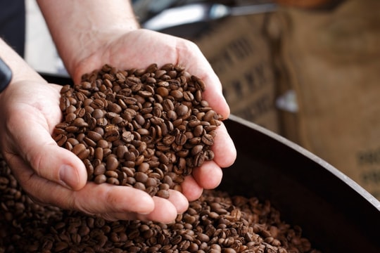 Giá cà phê hôm nay 3/9: Robusta xuống đáy, Arabica áp sát mốc cao nhất quý