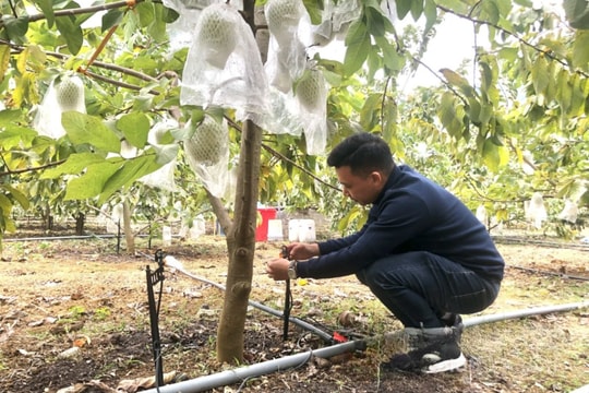Nông dân Lạng Sơn và bí kíp làm giàu mới lạ, thu về hàng trăm triệu đồng