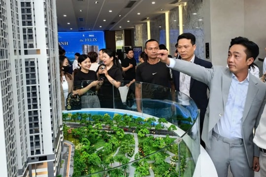 Tiền mặt còn vỏn vẹn 55 tỷ đồng, đây là cách Quốc Cường Gia Lai (QCG) xoay sở để trả nợ Vạn Thịnh Phát