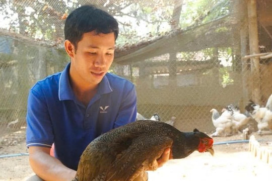 Nông dân Gia Lai bỏ phố về quê, giờ thành công thu trên 1 tỷ đồng mỗi năm từ mô hình lạ