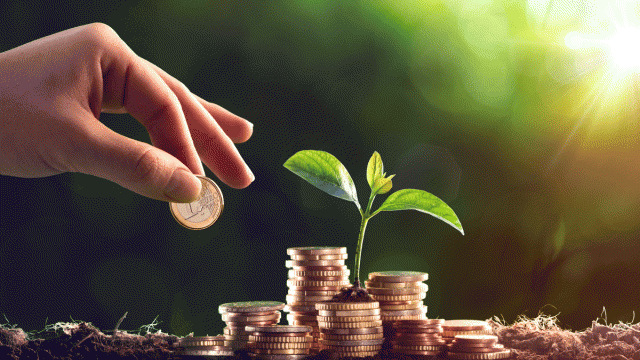 Lịch trả cổ tức bằng tiền của 6 doanh nghiệp, cao nhất 14%