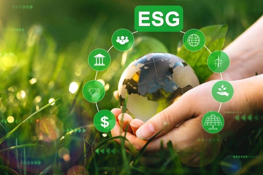 Tài chính xanh: Chìa khóa giúp Việt Nam mở rộng cánh cửa vốn toàn cầu