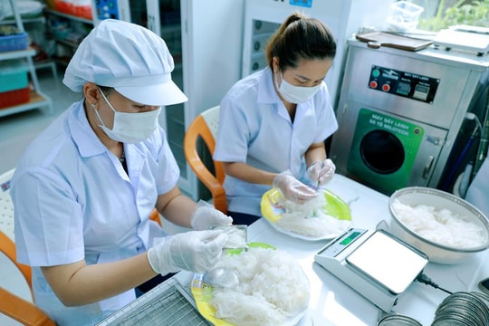 Khi nông dân Đắk Lắk biến "vàng trắng"  thành nguồn thu nhập hơn 1 tỷ đồng/năm