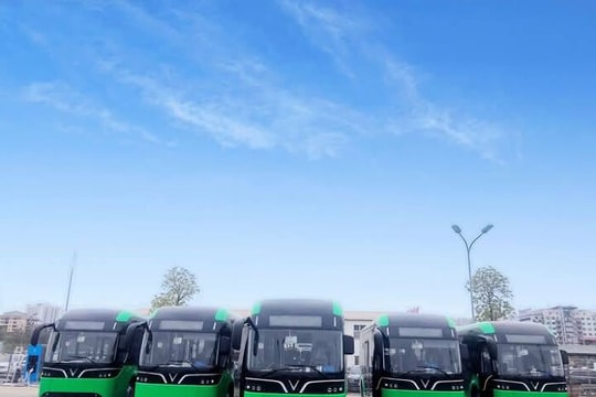 Một công ty bắt tay VinFast phủ sóng hàng nghìn xe điện và trạm sạc khắp các đảo còn nguyên sơ