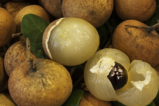 Nhãn bắp cải rớt giá kỷ lục: Từ đặc sản hiếm thành trái cây phổ thông