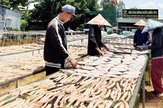 Giữ nghề truyền thống, nông dân Đồng Tháp tạo nên thương hiệu nổi tiếng, bán cực đắt hàng