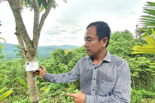 Từ bỏ phố thị, người nông dân Đà Nẵng bán hết tài sản về quê lập nghiệp, gây dựng mô hình "quý hiếm" hàng chục tỷ đồng