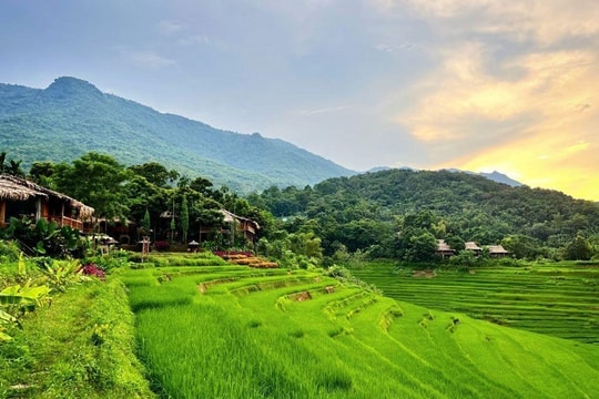Người nông dân Thanh Hóa bỏ cày cấy, dựng "nhà lá" kiếm cả tỷ đồng mỗi năm, mở hướng làm giàu từ sự mộc mạc