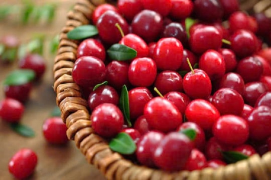 Ăn 5 loại thực phẩm này như "uống thuốc bổ" cho thận, ai cũng nên biết