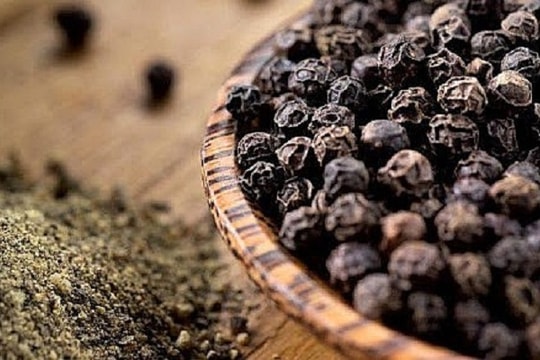 Giá tiêu hôm nay 14/9: Đi ngang, Brazil lao đao vì thuế Mỹ 50%