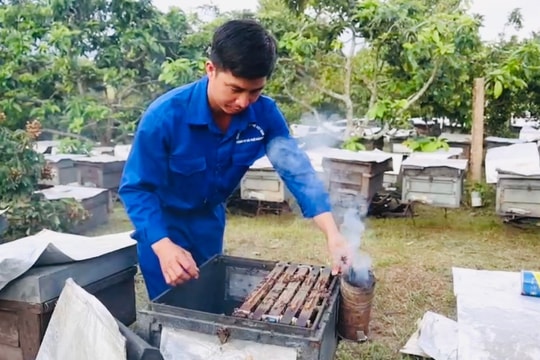 Nông dân Quảng Ngãi từ tay trắng dựng cơ ngơi tiền tỷ nhờ công thức “2 trong 1”, mỗi năm lãi hàng trăm triệu đồng