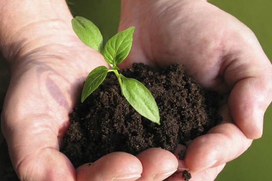 Kiên nhẫn "chờ thời" với cổ phiếu đầu ngành hóa chất