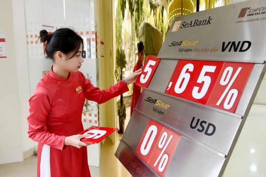 Lãi suất ngân hàng hôm nay 15/9: Một nhà băng tầm trung niêm yết mốc cao hiếm thấy