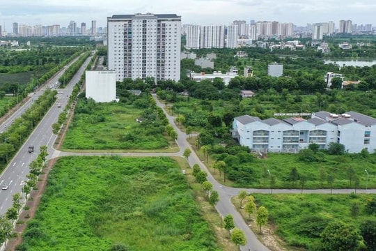 Cục Thuế Hà Nội triển khai chính sách giảm 30% tiền thuê đất năm 2025