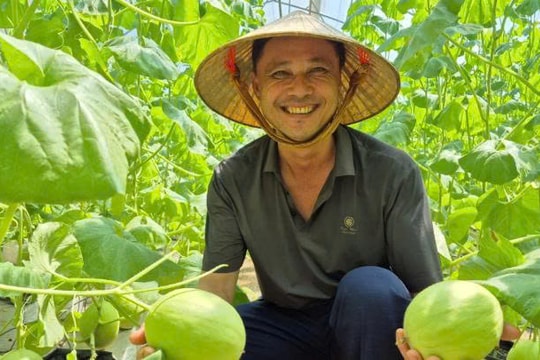 Nông dân Thanh Hóa gây sốt với "vườn quả vàng kim" cho lãi hơn 800 triệu đồng mỗi năm