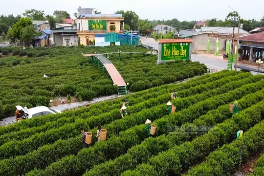 Thái Nguyên phát triển đời sống vùng cao sau sáp nhập, rút ngắn khoảng cách với đô thị