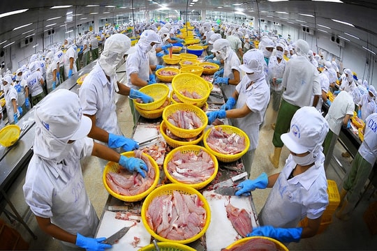 Hưởng lợi từ cá tra, cổ phiếu một doanh nghiệp thủy sản sẵn sàng bứt phá tới 23% thị giá