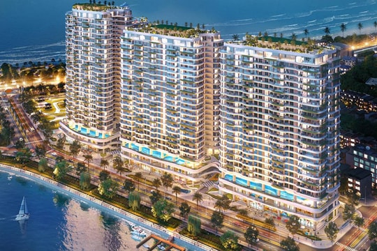 Trước thềm họp cổ đông bất thường, NRC thâu tóm một doanh nghiệp vốn điều lệ 20 tỷ