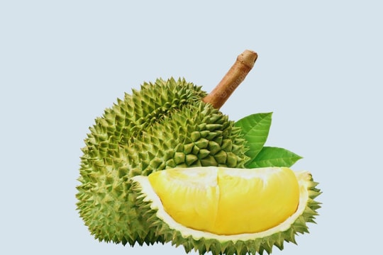 Giá sầu riêng hôm nay 17/9: Thị trường đi ngang, nhà vườn lo sượng nước