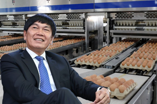 “Gà đẻ trứng vàng” của Chủ tịch Trần Đình Long đang ở đâu so với Dabaco, Nông nghiệp BAF…?