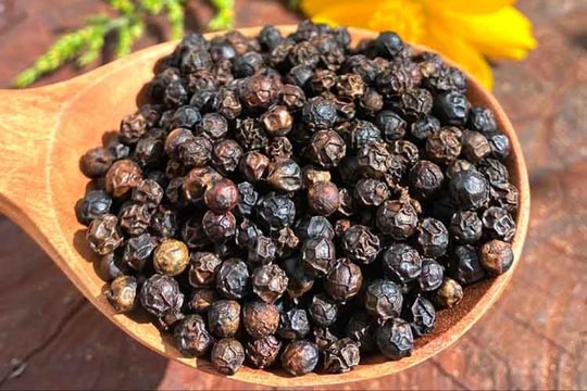 Giá tiêu hôm nay 18/9: Giảm nhẹ, nông dân thận trọng bán hàng