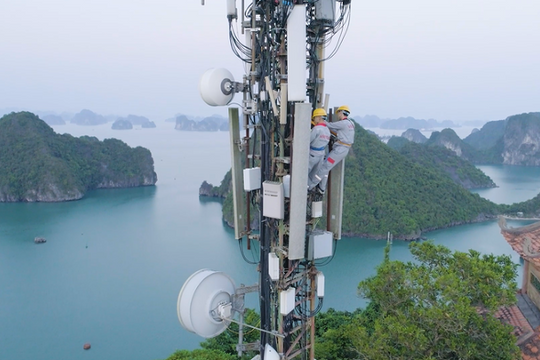 Công ty hạ tầng thuộc Viettel bỏ túi gần nửa nghìn tỷ sau 8 tháng, cổ đông sắp được nhận cổ tức