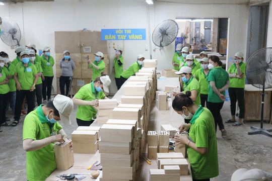 Doanh nghiệp gỗ lâu năm nhận án phạt vì vi phạm công bố thông tin và giao dịch nội bộ