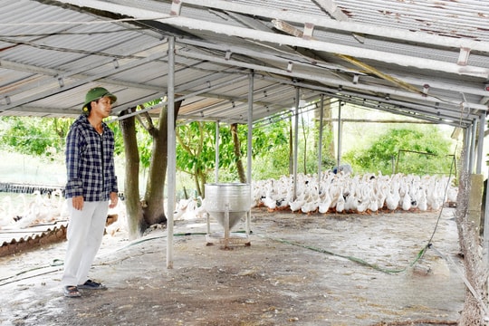 Nông dân Nghệ An đổi đời khi biến vùng chiêm trũng thành trang trại bạc tỷ