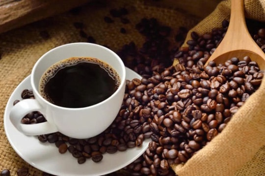 Giá cà phê hôm nay 20/9: Trong nước chững lại, Arabica bật tăng mạnh