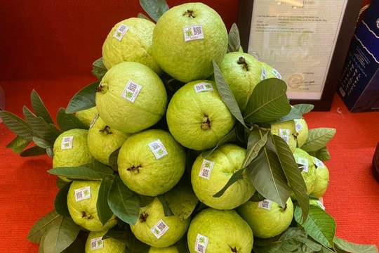 Sản phẩm OCOP Tân Yên – từ đặc sản địa phương đến động lực kinh tế bền vững