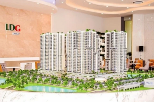 Chậm công bố thông tin hơn 8 tháng, Đầu tư LDG (LDG) nói gì?