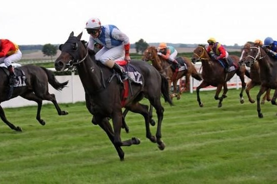 Một ông lớn chứng khoán khoán tham chiến, sân chơi tài chính số nóng rực