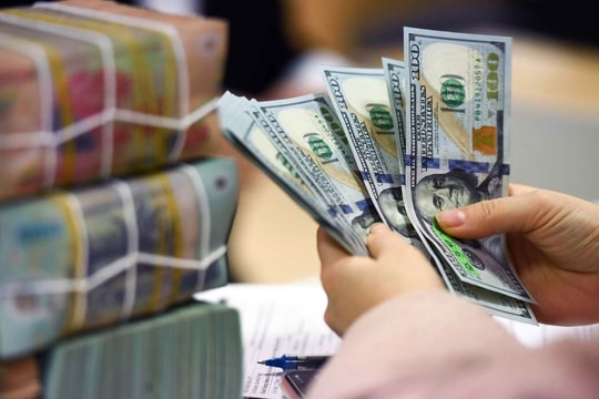 Tỷ giá USD hôm nay 23/9: Ngân hàng niêm yết quanh 26.448 đồng/USD