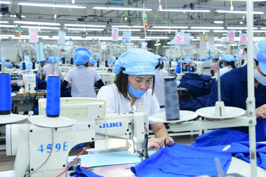 Làm không hết việc, Dệt may Thành Công (TCM) kiếm được bao nhiêu tiền 8 tháng đầu năm?