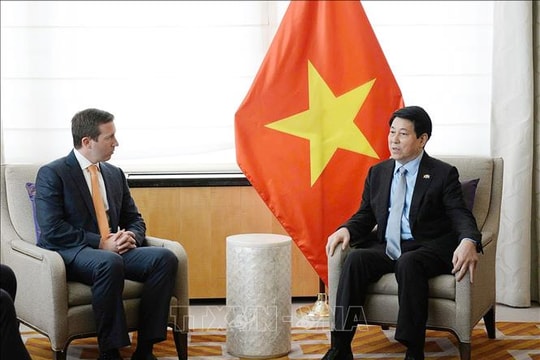 Chủ tịch nước Lương Cường tiếp Giám đốc điều hành Quỹ Đầu tư Warburg Pincus