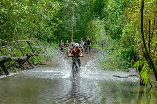 Đồng Nai và hành trình đưa “thủ phủ rừng” thành trung tâm kinh tế xanh vùng Đông Nam Bộ