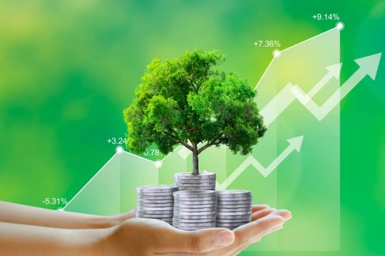 Ngân hàng Nhà nước đề xuất cơ chế đặc biệt cho vay vốn xanh