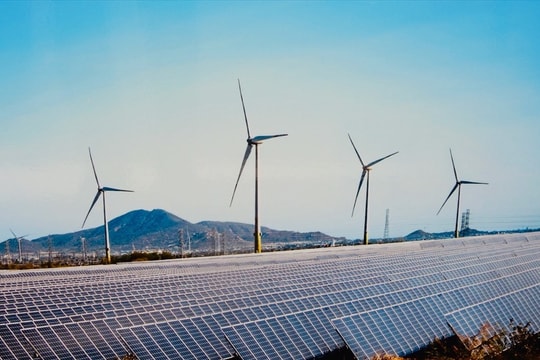 Ninh Thuận vươn lên thành trung tâm năng lượng tái tạo của cả nước