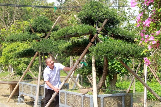 Từ bàn tay trắng, nông dân Nghệ An vươn lên thành "ông trùm bạc tỷ" nhờ đam mê bất tận