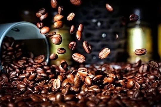 Cập nhật giá cà phê hôm nay 25/9: Giảm cực mạnh trong nước