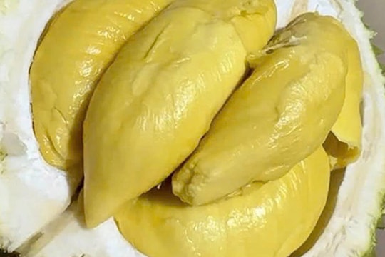 Giá sầu riêng hôm nay 26/9: Musang King giữ vững sức hút