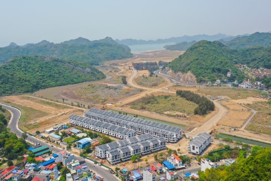 Vinaconex ITC họp bất thường hậu đổi chủ, dàn lãnh đạo được thay thế toàn bộ